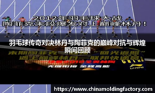 羽毛球传奇对决林丹与陶菲克的巅峰对抗与辉煌瞬间回顾